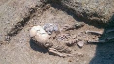 Le squelette d’un nourrisson avec un crâne allongé vieux de 2000 ans découvert en Crimée