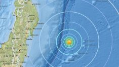 Un tremblement de terre de magnitude 6.1 a touché la côte du Japon, à 300 km de Fukushima