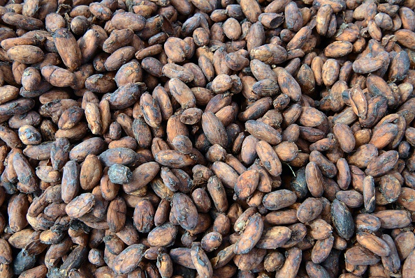 Bien que le chocolat entre maintenant dans la composition de nombreux  produits alimentaires, plusieurs étapes sont pourtant nécessaires afin de transformer les fèves de cacao fraîches en alléchantes gourmandises. (Cris Bouroncle/AFP/Getty Images)
