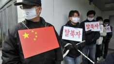 La Chine intensifie la répression contre les réfugiés nord-coréens et les renvoie à la torture ou à la mort