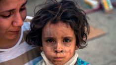 Irak : plus de 1 300 femmes et enfants de jihadistes détenus