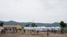 Boko Haram tue dans un camp de déplacés