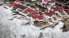 Trump appelle à fuir devant l’ouragan Irma