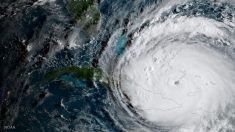 Cette série d’ouragans (Harvey, Irma, Jose et Katia) intensifie le débat scientifique