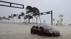 Irma en Floride, premier bilan