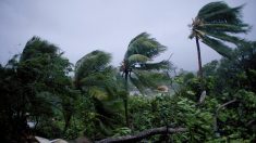 Les pluies « infernales » de l’ouragan Maria frappent la Guadeloupe