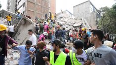 Mexique : un séisme fait plus de 200 morts