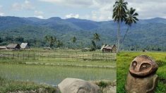 Explorer les mystérieux mégalithes de la vallée de Bada en Indonésie