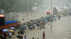 Bombay sous les eaux ou quand l’écologie est sacrifiée sur l’autel du développement économique