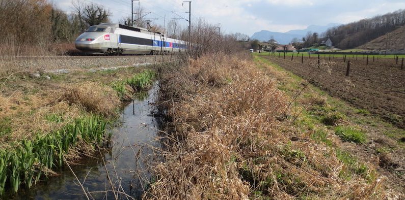 Comment restaurer un cours d’eau dégradé tout en protégeant la ligne de chemin de fer des inondations ? (Irstea)