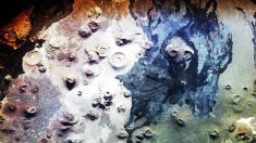 Des scientifiques découvrent 400 mystérieuses structures en pierre aux alentours d’un ancien volcan en Arabie Saoudite