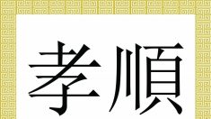 Xiao Shun : Le concept chinois traditionnel de la piété filiale
