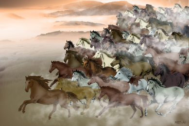 Des milliers de chevaux au galop. (Anny Jean/Epoch Times) 