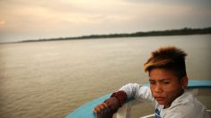 Amazonie : Les petits exploitants brésiliens en péril