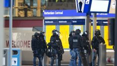 Thalys 2015 : deux complices présumés du tireur inculpés en Belgique