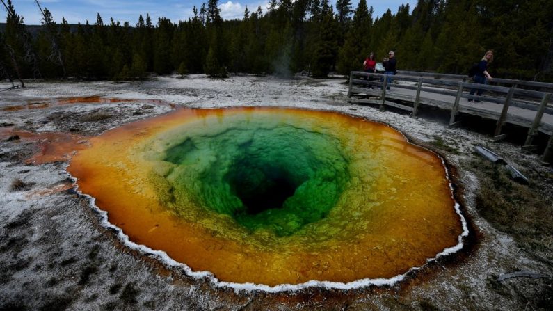 Dans le parc national de Yellowstone, situé dans l'État du Wyoming, aux États-Unis, les touristes aperçoivent le bassin supérieur qui abrite un superbe geyser et de magnifiques sources chaudes.