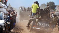 Offensive militaire en République Démocratique du Congo : 10 miliciens tués
