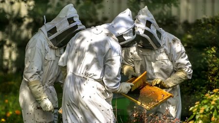 Une étude révèle que 75% du miel mondial contient des pesticides
