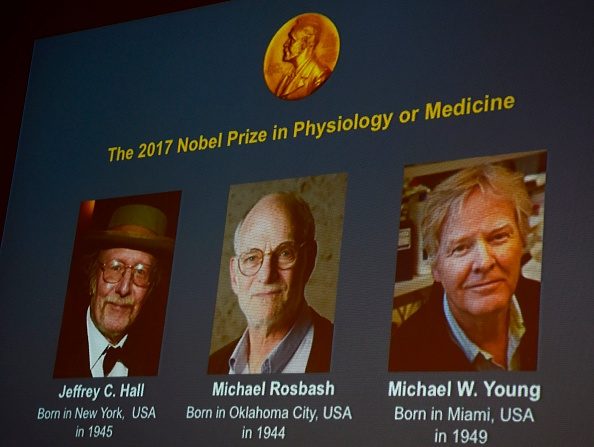 Le trio gagnant du Nobel de médecine 2017, Jeffrey C. Hall, Michael Rosbash et Michael W. Young. 
(JONATHAN NACKSTRAND/AFP/Getty Images)