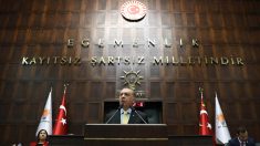 Turquie : après le coup d’état manqué, Erdogan « purge » les institutions
