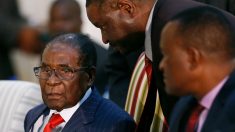 La nomination scandaleuse de Mugabe comme ambassadeur de bonne volonté de l’OMS