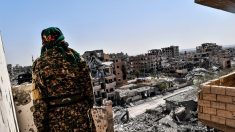 Raqa : des civils « utilisés comme des boucliers humains par les terroristes »