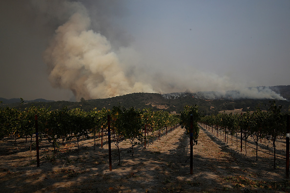 Un incendie hors de contrôle détruit les vignobles de Sonoma en Californie le 9 octobre 2017.  
(Justin Sullivan/Getty Images)