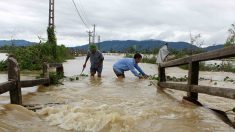 Pluies torrentielles au Vietnam : 37 morts et 40 disparus