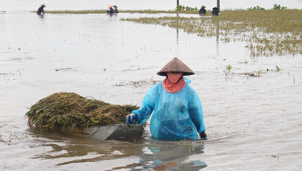 Les inondations au Vietnam ont déjà fait 54 morts et 39 disparus.
(STR/AFP/Getty Images)
