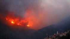Incendie ravageur en Corse