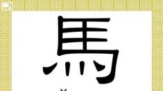Le caractère chinois : 馬 (mǎ)