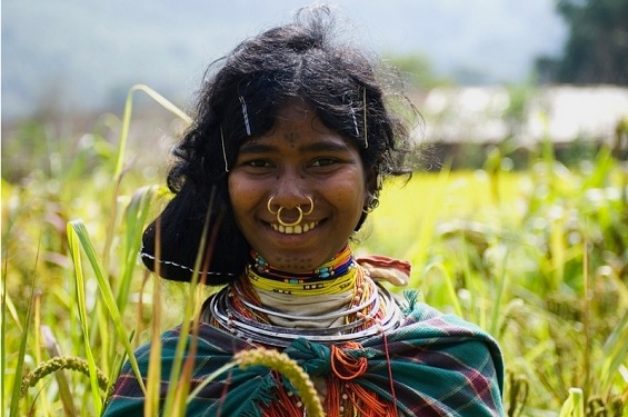 Les ancêtres de la communauté kondh, en Inde, préféraient le millet au riz. (Toby Nicholas/Survival International)

