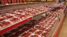 Trois mille tonnes de viande bovine tuberculeuse sont écoulées chaque année dans les supermarchés français