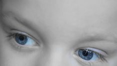 Selon des chercheurs, la dyslexie serait due à une trop grande symétrie des capteurs oculaires