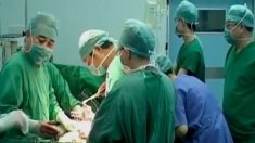 Un journal allemand souligne la complicité occidentale dans le trafic d’organes en Chine