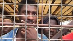 Une honteuse vente aux enchère de migrants en Libye filmée en caméra cachée par une journaliste de CNN