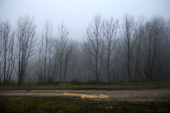 Le corps dénudé avait été découvert par des bucherons le 15 décembre 2016 dans la forêt de Le Franois (Jura), près de la frontière suisse.
(SEBASTIEN BOZON/AFP/Getty Images)