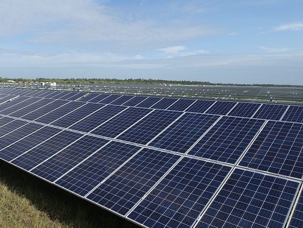 Une ferme solaire en construction à Punta Gorda, en Floride, le 22 avril 2016, où suffisamment d'énergie sera produite pour alimenter 21 000 foyers. 
(KERRY SHERIDAN / AFP / Getty Images)