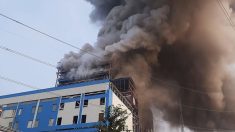 Inde: le bilan de l’explosion dans la centrale s’alourdit