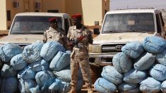 19 tonnes de cannabis saisies au Darfour par le Soudan