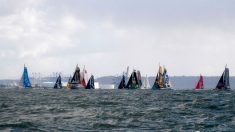 Transat Jacques-Vabre : c’est parti pour les 37 bateaux concurrents
