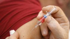 Virus du PCC : le Conseil Scientifique appelle à préparer l’arrivée d’un vaccin