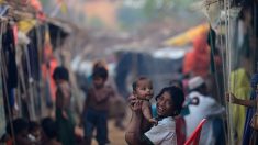 Rohingyas : l’armée birmane a planifié des massacres