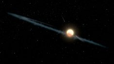 Étoile mystérieuse : la thèse d’une structure extra-terrestre définitivement écartée