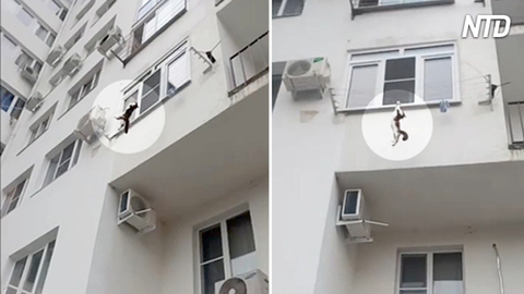 Un chat tombe de la fenêtre et atterrit sur une corde à linge – mais quand il perd l’équilibre, les choses deviennent effrayantes