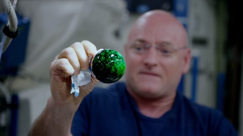 Scott Kelly à bord de l'ISS, Source : YouTube