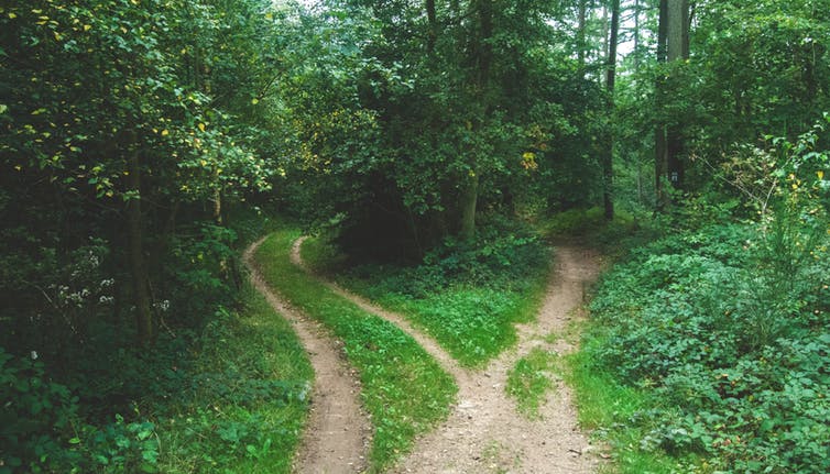 Comment choisir le bon chemin ? Une mission pour le cortex ? (Jens Lelie/Unsplash, CC BY-SA)