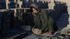 En Afghanistan, les filles remplacent le fils aîné pour aider la famille