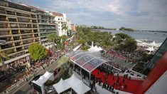 Weinstein, le grand absent du Festival du Cannes, sera dans toutes les têtes
