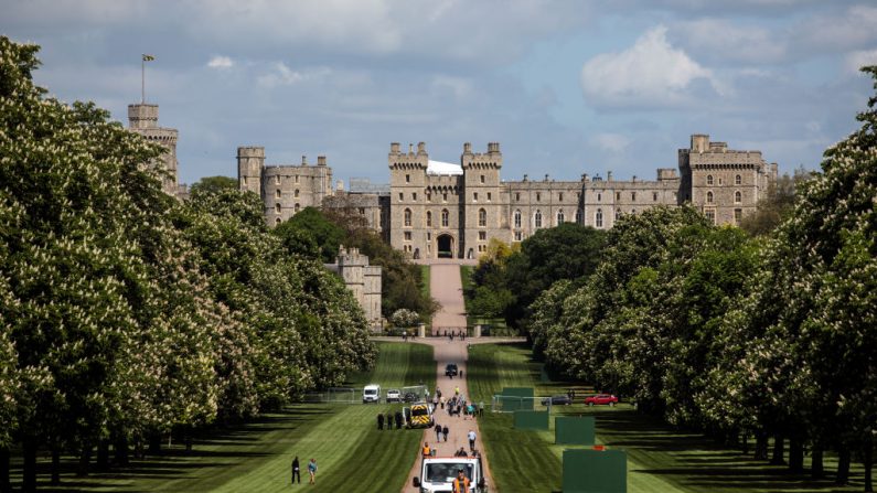 Les travaux se poursuivent le long de la longue marche devant le château de Windsor avant le mariage du prince Harry et de sa fiancé, l'actrice américaine Meghan Markle. La chapelle St George au château de Windsor accueillera le 19 mai le mariage princier. La ville, qui donne son nom à la famille royale, est prête pour l'événement et les dizaines de milliers de royalistes attendus. Photo par Jack Taylor / Getty Images.